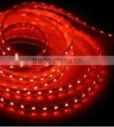 12W 2835 Smd Led Strip Light