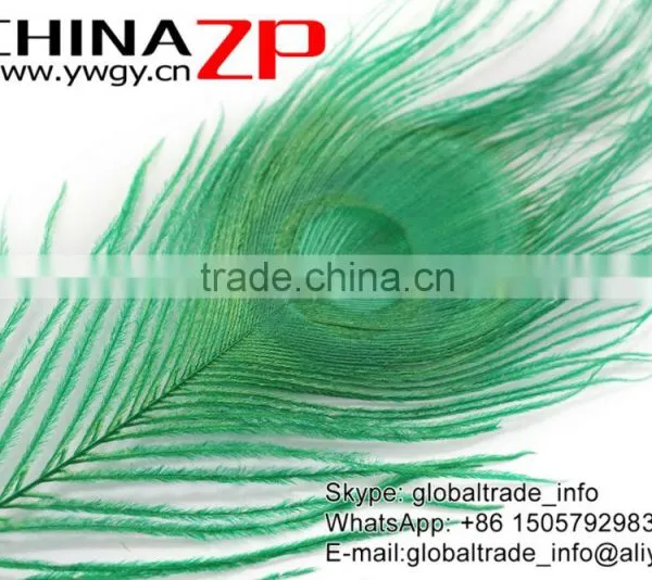 Leading Supplier CHINAZP Wholesale Cheap Full Eye Dyed Green Peacock Tail Feathers photo-5