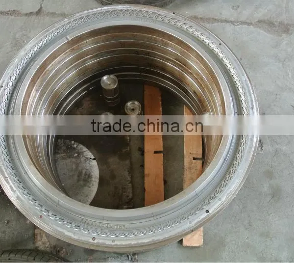 Hot Sale Mould For Bicycle Tyre photo-5