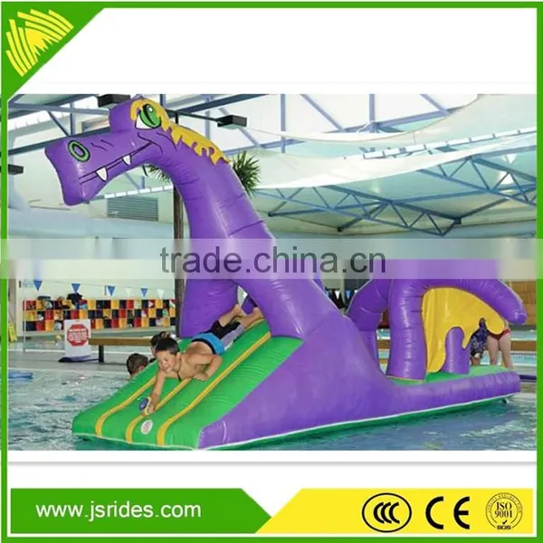 Hot Selling Giant Inflatable Water Slide For Kids And Adults Inflatable Slide photo-4