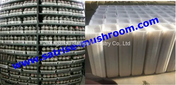Stackable plastic agricultural crate mushroom basket