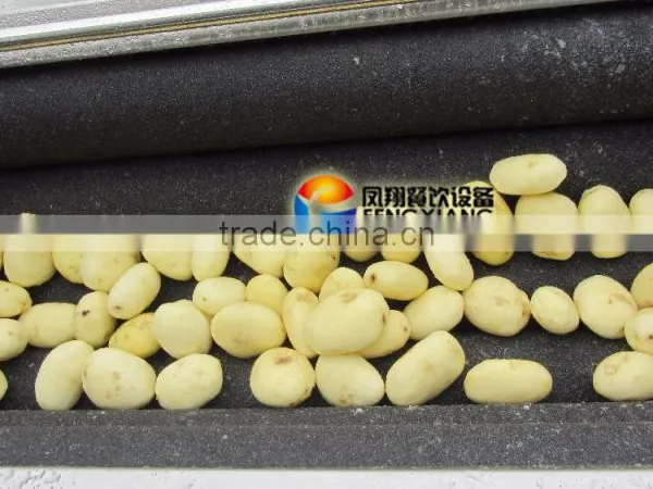 Industrial Attrition Type Vegetable And Fruit Washing Potato Peeling Machine Ginger Peeler photo-6