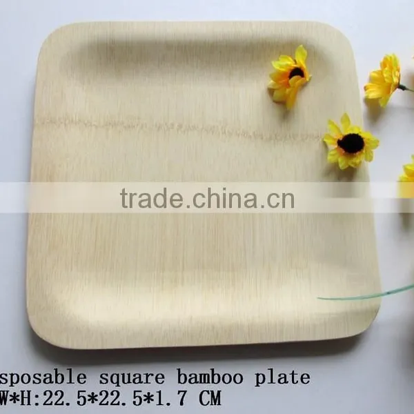 Disposable Bamboo Plate photo-2