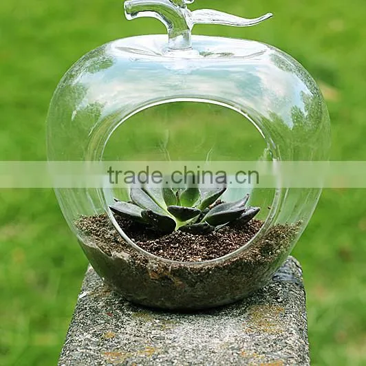 Micro Landscape Ecological Meaty Plant Glass Vase Apple Shape photo-2
