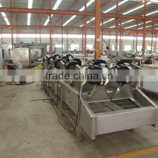 Industrial Fresh Vegetable and Fruit Washing Machine photo-4