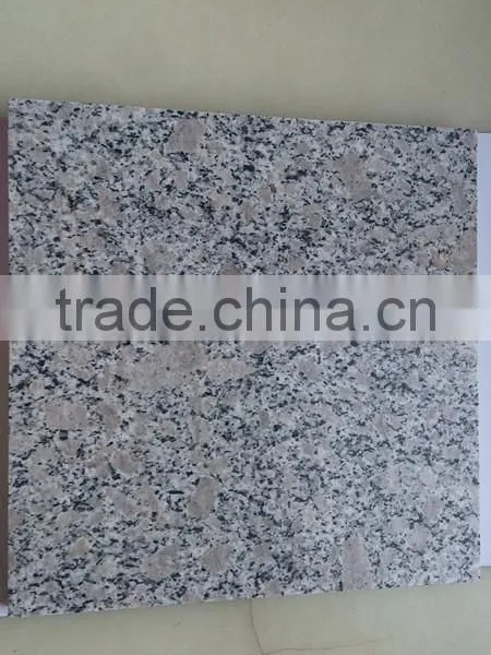 Hot Sale! Chinese Cheapest Granite Stone G383 photo-6