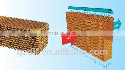 DLF Industrail Water Cooling Pad From China photo-3