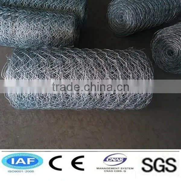 High Quality Anping Hexagonal Mesh Fence Factory(ISO9001) photo-5