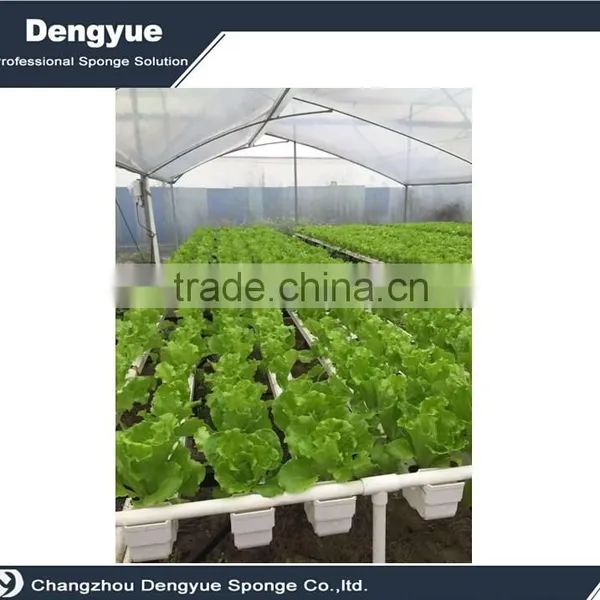 Agricultural Polyurethane High Densuty Vegetables Seedling Planting Sponge photo-5