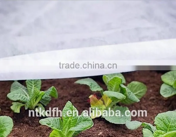 High Quality Top Grade Polypropylene Non Woven Fabric photo-2