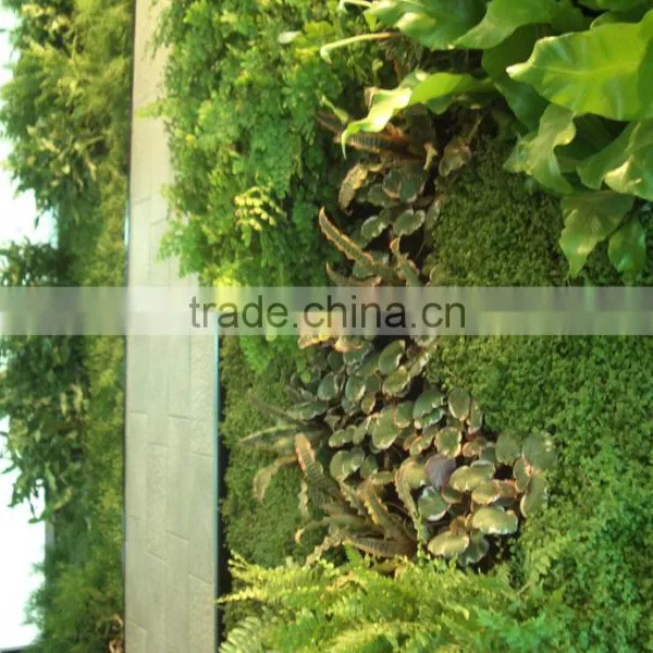 Factory Price Natural Looking Artificial Plant Wall, Vertical Artificial Green Wall,indoor or Outdoor photo-6