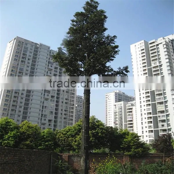 2015 Artificial Large Types of Communication Tower Tree photo-4