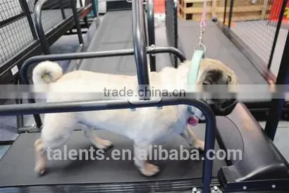 Dog Fitness Machine/pet Treadmill /pet Products photo-2