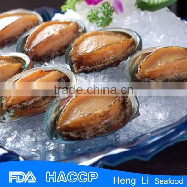Fresh Frozen Green Abalone photo-4