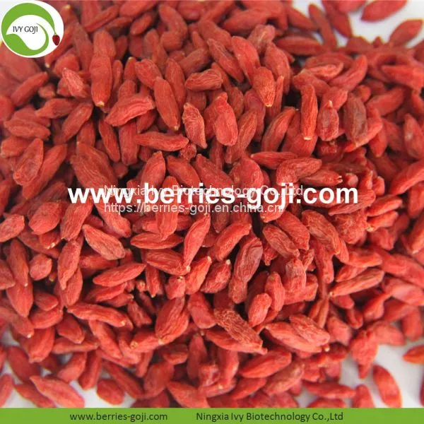 Factory Wholesale Dried Wolfberry
