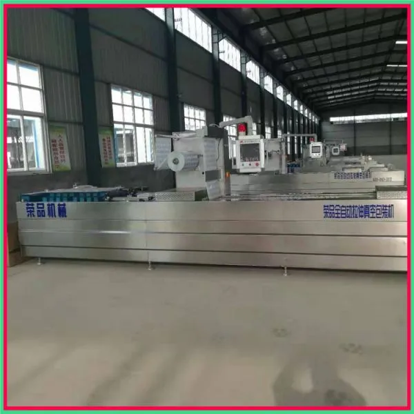 Vacuum Packing Machine for Dressed Chicken photo-3