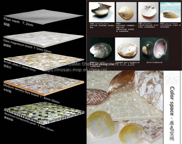 High Quality Shell Mosaic Tiles on Mesh FY-B018 photo-4