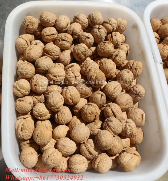 2020 The Best New Crop Liaoxi Walnut Inshell
