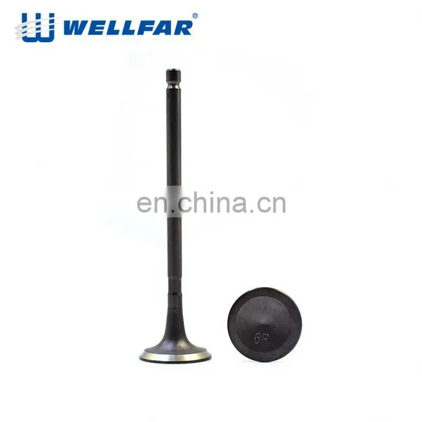 Original Quality Replacing Intake and Exhaust Engine Valve for 4G64 16V photo-4
