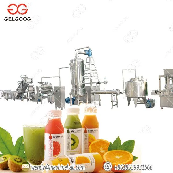 Fruit Juice Production Machinery Manufactruer Whole Line China Hot Sale