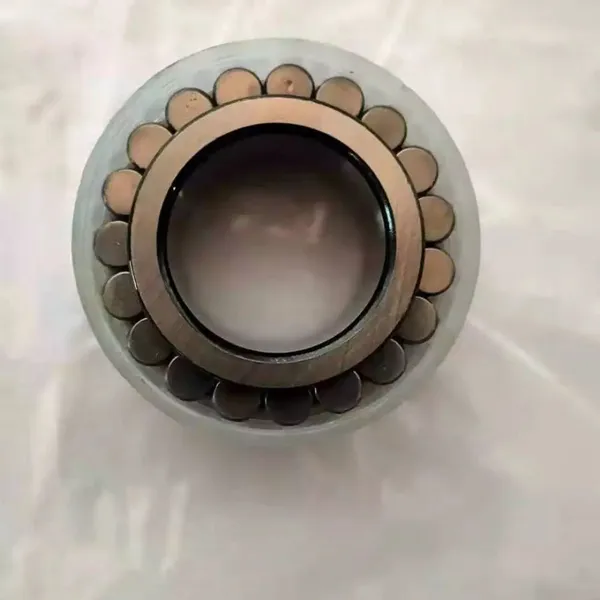 RN204V Full Cylindrical Roller Planetary Bearing Without Outer Ring