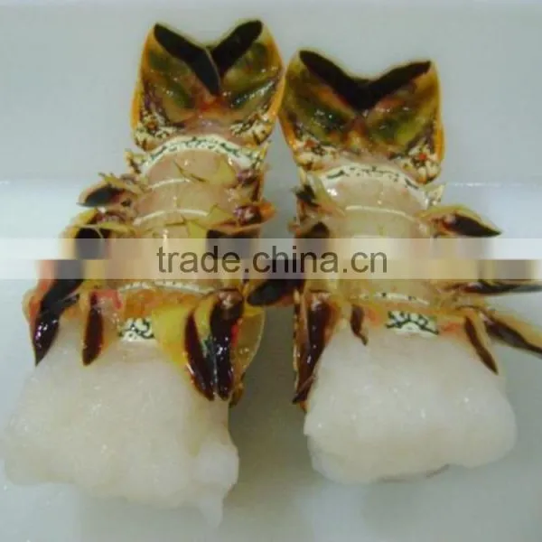 Frozen Lobster Tails photo-3
