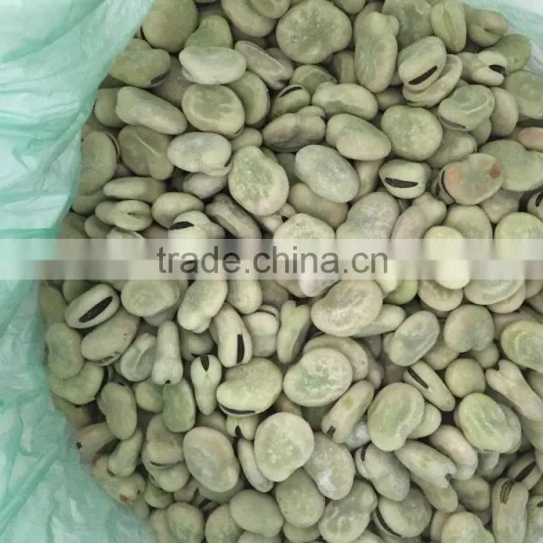 Iqf Fava Bean