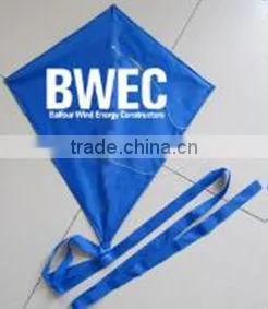 promotional gift kite/various designs kite