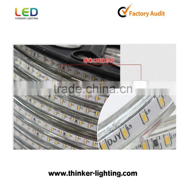 SMD3014 Led Strip Light Blue Color 204led/m Strip Light Non-waterproof With CE&Rohs photo-2