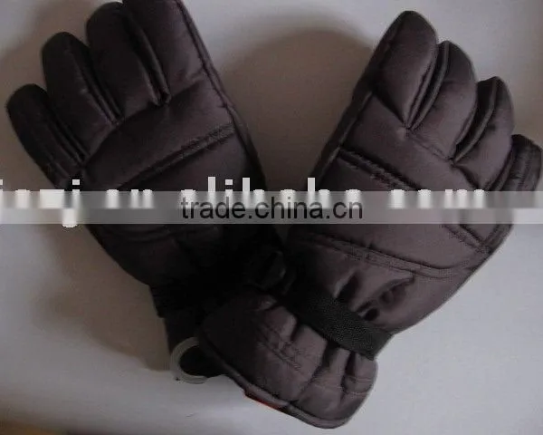 Ski Gloves