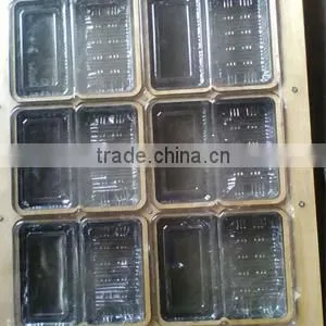 EPE Soft Conductive Foam CE Approved EVA Sheet Kiss Cut Die Cutting Machine photo-3