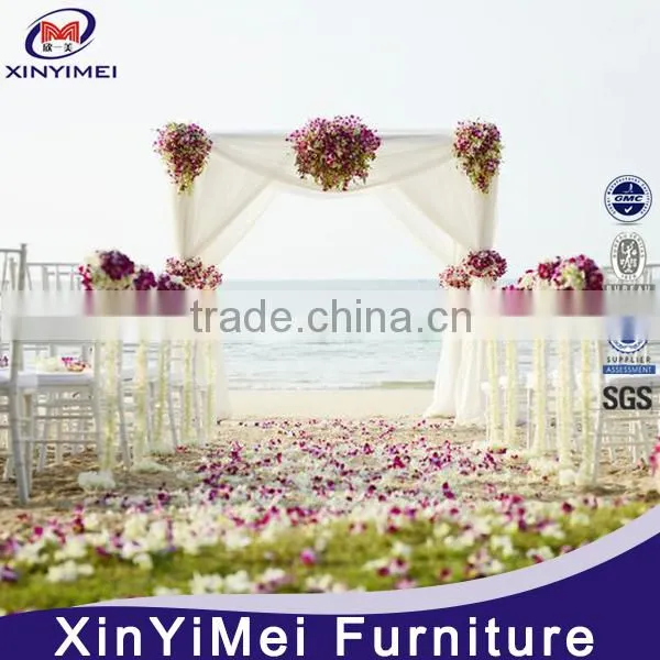 Royal Europea Style Background Wedding photo-6