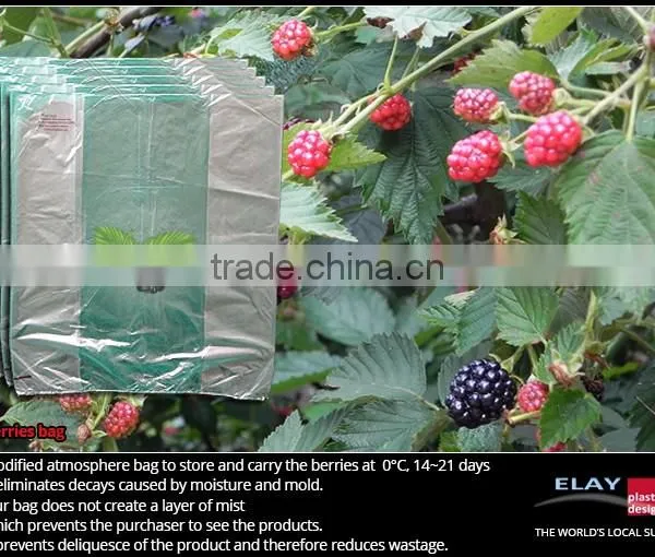 Dragon Fruit Bag photo-5