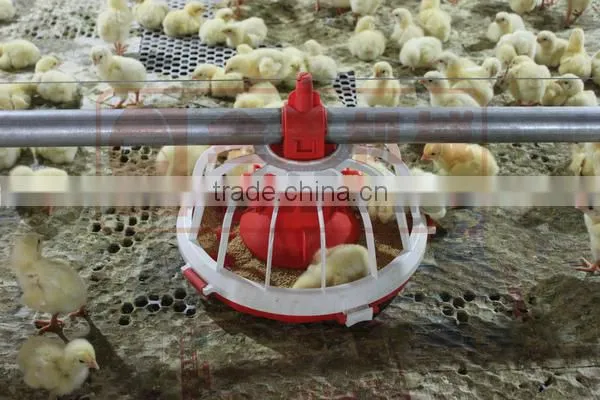 Poultry Farm Feeding Equipment photo-3