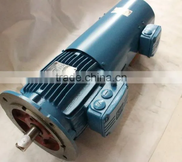 WEG Brand Efficiency IE2 Variable Frequency Electric Motor