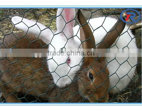 Hexagonal Netting Chicken Wire Hexagonal Wire Mesh With Green Plastic Finish photo-6