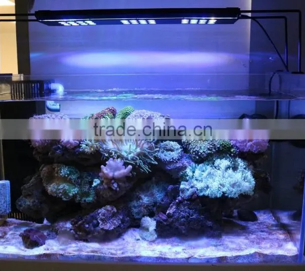 135w New Design Coral Reef Led Aquarium Light for 3ft 6ft Marine Tank photo-2
