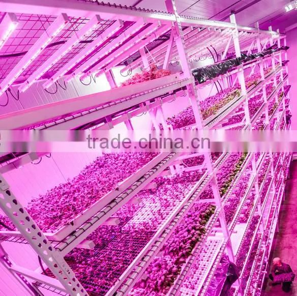 Waterproof IP65 36w Cheap Grow Lights for Indoor Plants photo-6
