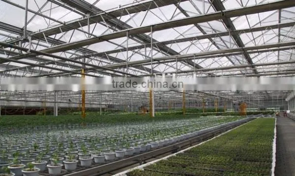 Nursery Greenhouse photo-4