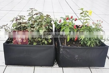 Intelligent Mini Pot Smart Mini Garden photo-2