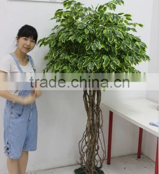 Indoor Decoration Fake Banyan Tree for Sale,fake Banyan Trees photo-2