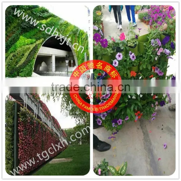 Outdoor landscaping vertical green wall