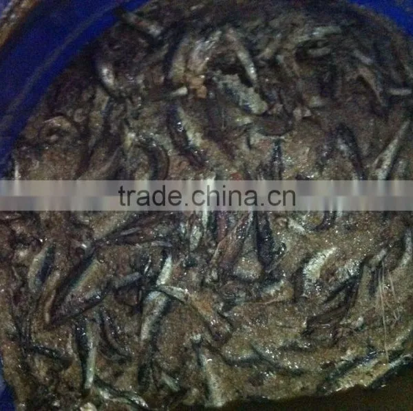 High Quality Salted Anchovy Fillet photo-2