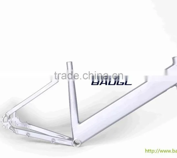 Hot Sale Aluminum Alloy Bicycle Frame for Lady Bike photo-3