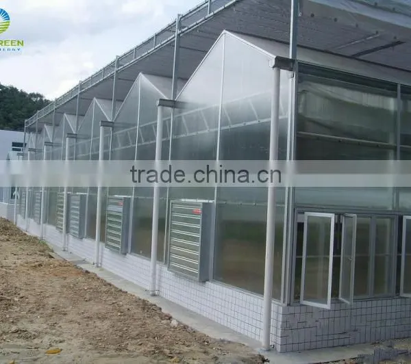 Various Agricultural Multi Span Polycarbonate Greenhouse