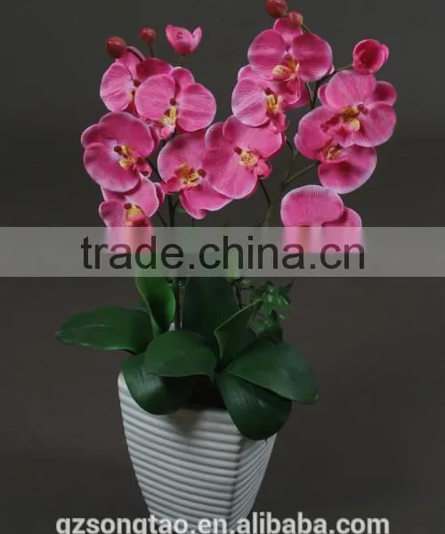 Rich and Colorful Orchid Small Plant Ornaments on the Table Manufacturer in China photo-3