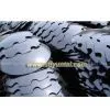 Sell Harrow Disc Blade