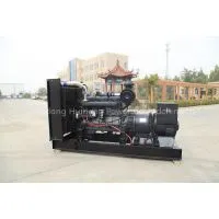 50hz, 400v Water Cooling Engine 250kva Diesel Generator