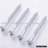 Screw