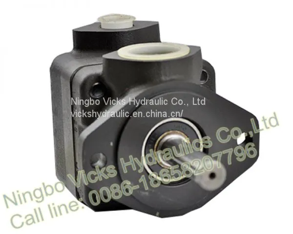 High Quality Rotary Pump V20-1S10P-38B-10R Vane Hydraulic Pump